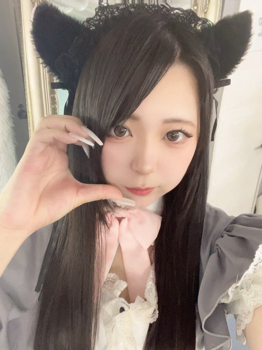 🐾にゃんとぴあ🐾(ねこぴ)のツイート