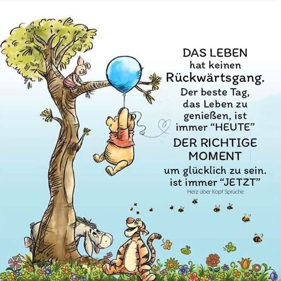 Demila Schröder tweet media