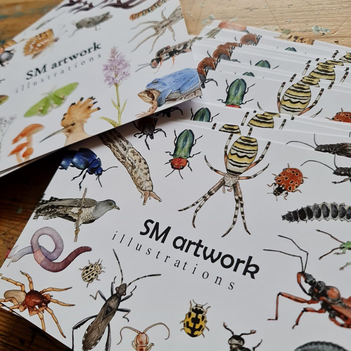 Svenja Meyer tweet media