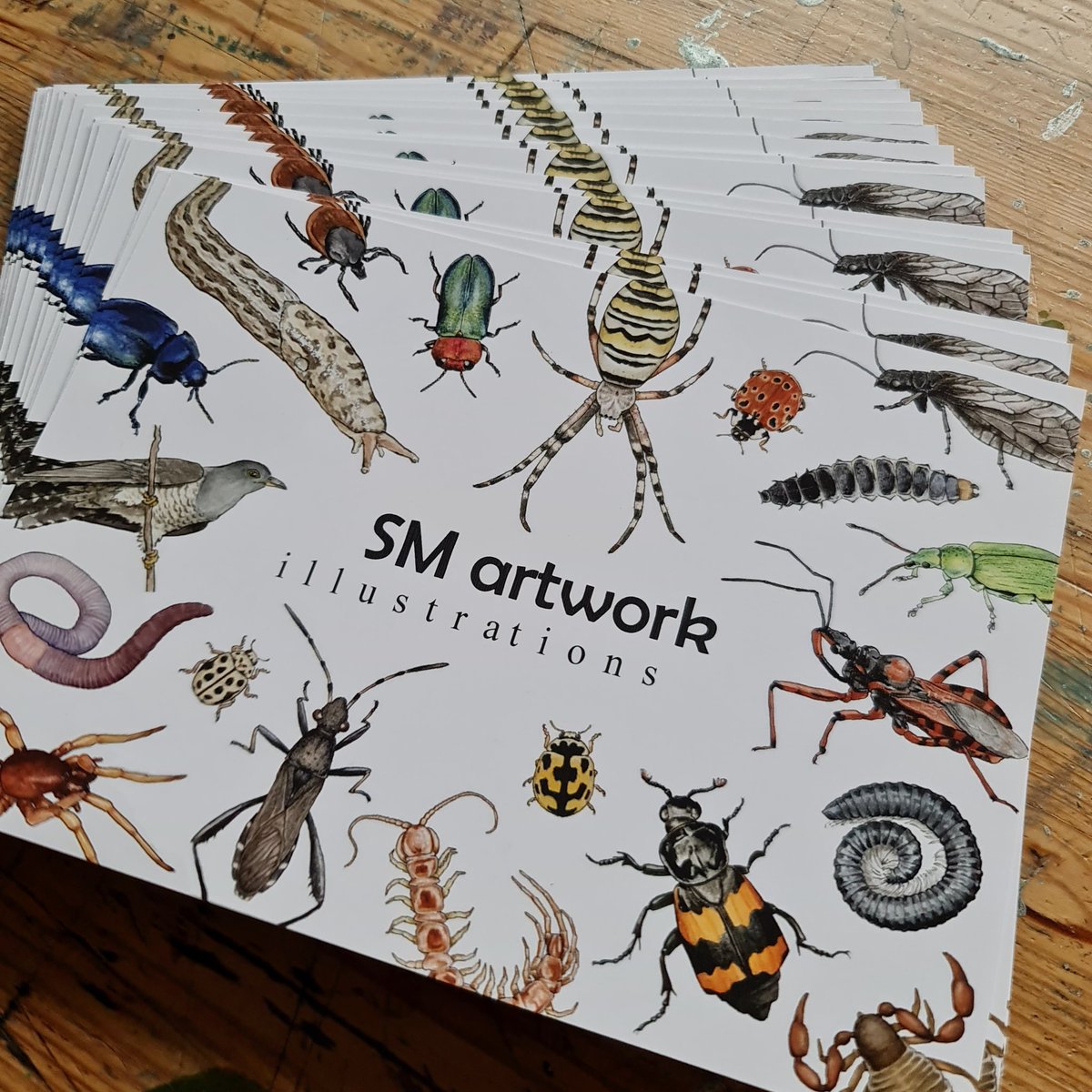 Svenja Meyer tweet media