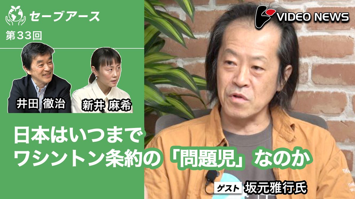 videonewscom's tweet image. 今年11〜12月、ワシントン条約COP20がウズベキスタンで開催予定。ウナギだけでなく、象牙の問題も再び議題に。日本の立場はどうあるべきか?坂元雅行×井田徹治×新井麻希が徹底議論。
youtu.be/J4ZySp6GcKo