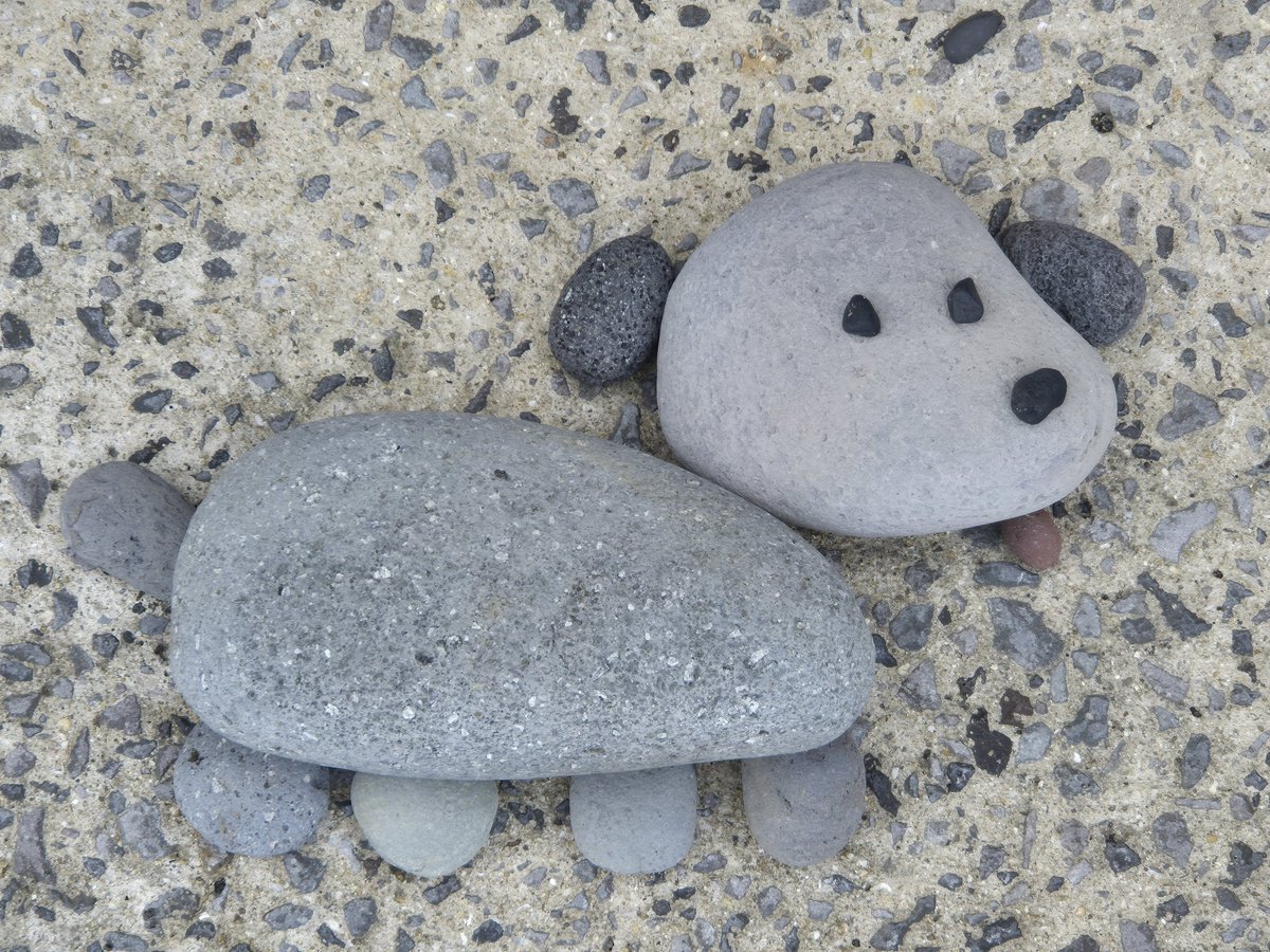 배츗츄 / 서일페 L08 tweet media