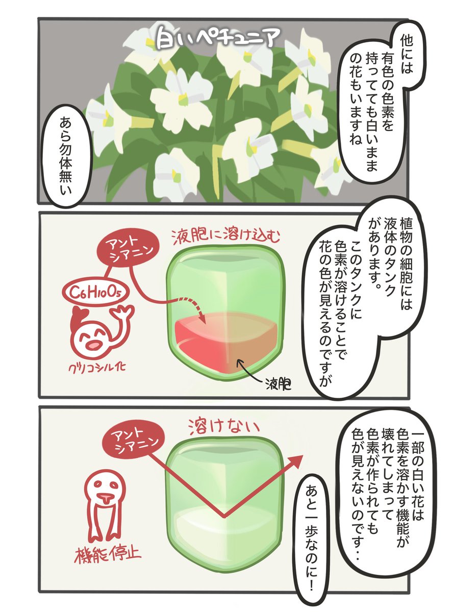 カレンブーケドールちゃんとお花シリーズ
白い花編

#カレンブーケドール
#ウマ娘
#カレンブーケドールちゃんとお花 