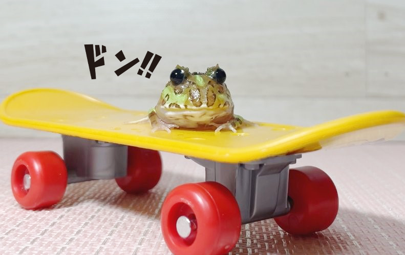 ぅぉー！！週末だー！！
楽しんでいこーーー！！