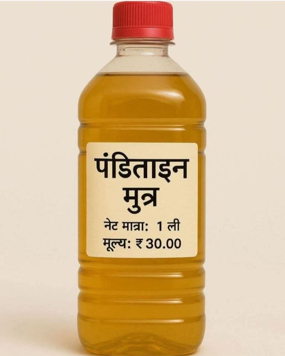 DigvijayaY's tweet photo. गंगा जल, और गो मुत्र ही पहले फ्री में मिलता था, आज से एक आइटम और बढ़ गया, वो है पंडिताइन बाला पावरफुल, शुद्ध और शक्तिशाली, पंडिताइन मुत्र, जिसको चाहिए पंडिताइन के घर पहुंच जाइए ।

#ahiranisulochana #yadavji #itava #yadavjiapmankand #kathavachakyadavji #post #photochallenge #newpost