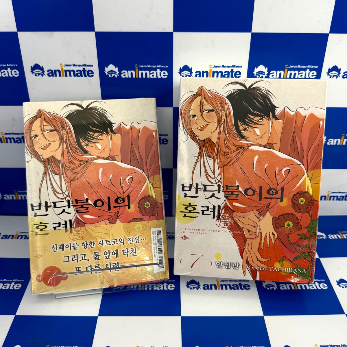 【입고소식📚/#서적】  

"작전을 성공하면 사토코에게 칭찬받을 수 있어"

피를 뒤집어쓰며 적을 베어⚔️넘기는 신페이
한편, 사토코의 마음❤️속에선 
중대한 결심이 싹트는데...⁉️

#반딧불이의_혼례 7권 일반판/한정판✨

#잠실롯데 #애니메이트 에서 만나요 ˚ꯁ*₊ ૮₍˶• . • ⑅₎ა