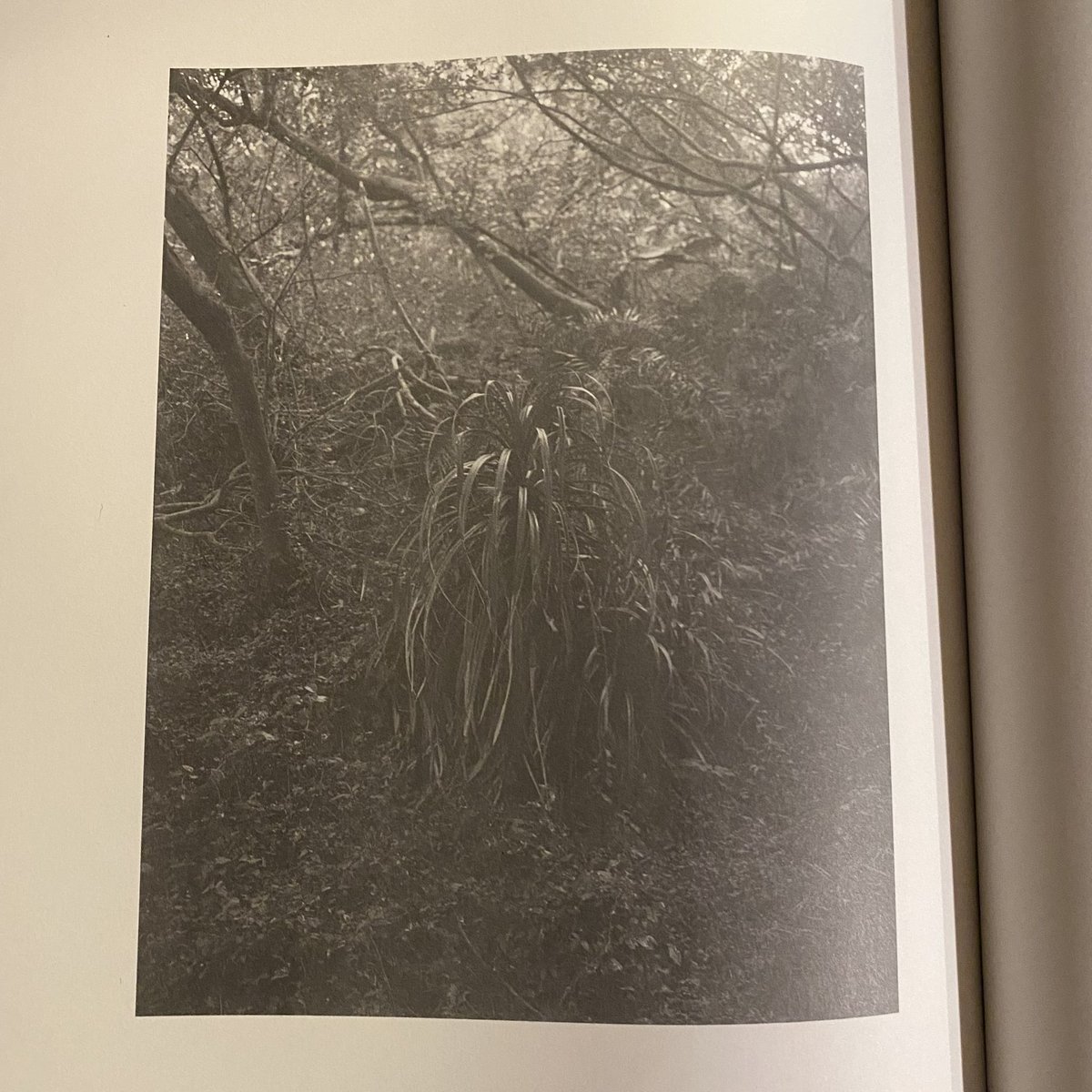 南方書局発行の写真集、冊子が入荷しています。
写真家、富澤大輔の1年半ぶりの新作となる『火曜日』は、2025年2月21日の火曜日、富澤の故郷である台湾の岬にて撮影された写真をまとめた写真集。
午前9時から撮影を始めたものの、40分後にはフィルムの巻き上げとともにカメラから異音が鳴り、