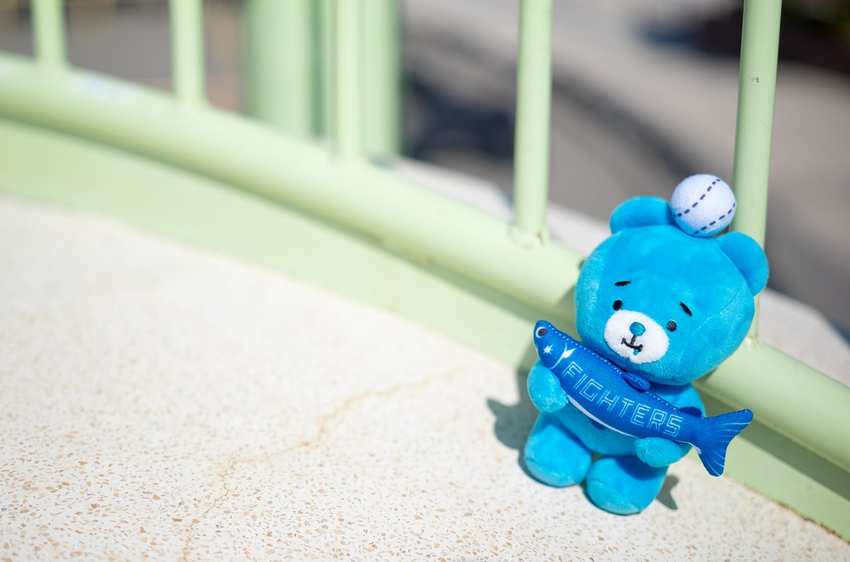 こう見えて、
しゃけまると来季のキャラクター戦略に関して
話し合っているよ。