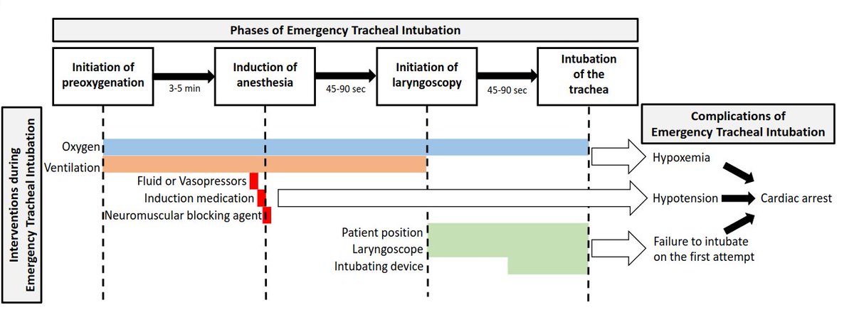 Today's Paper of the Day is:

Evidence-based Emergency Tracheal Intubation

criticalcarereviews.com/latest-evidenc…

Join us to read 1 paper per day and stay up-to-date as we cover the spectrum of critical care across 2025