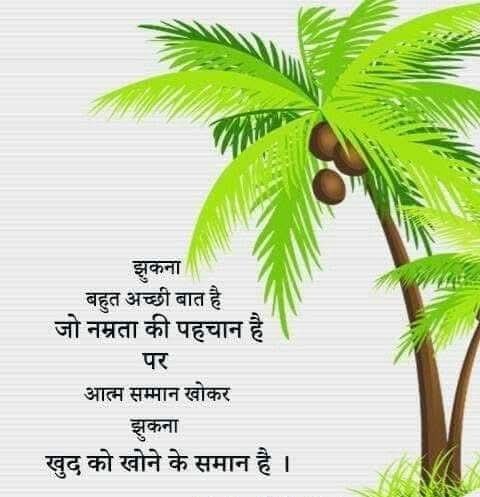 मेरी और से आप सब को  जय जगन्नाथ 🙏🏻🌹

#RathYatra2025