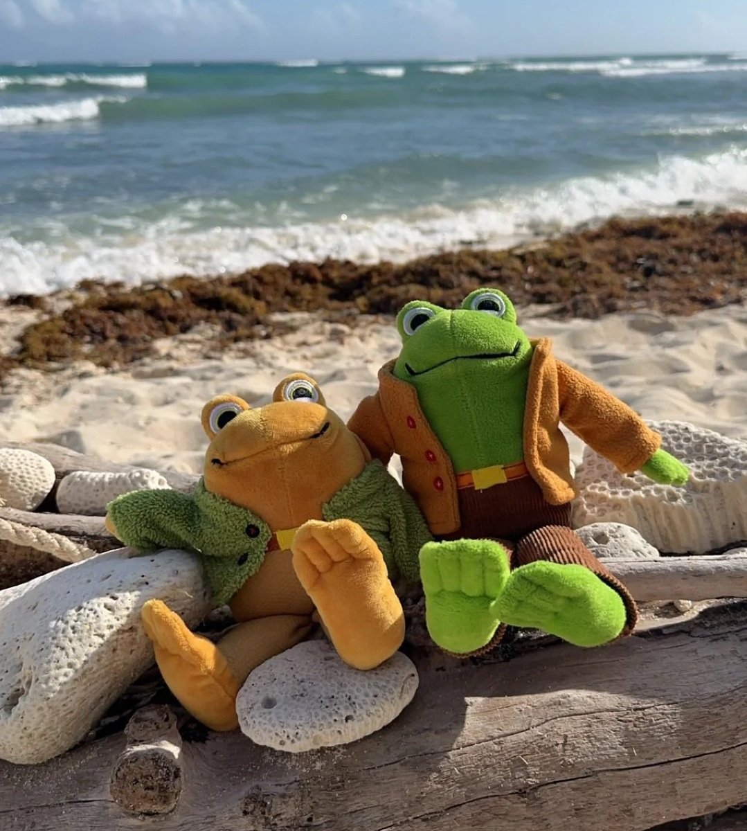 🏖️🐸☀️