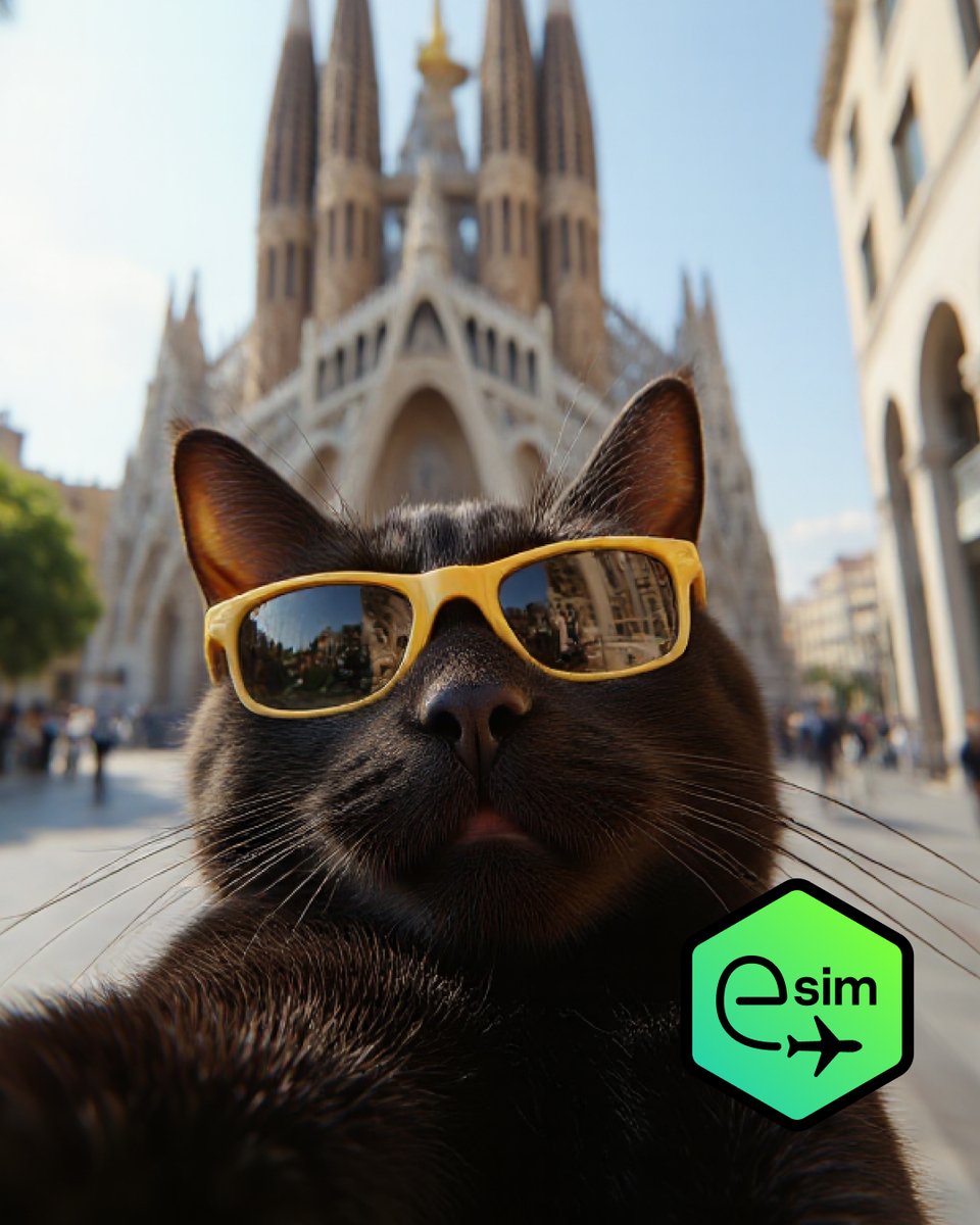 kaspersky's tweet photo. Nothing human is alien to cats😼, so these traveling buddies take selfies everywhere. 📸
With Kaspersky eSIM Store, it is easy to stay online with no roaming issues. ✈️
Everybody deserves a stable Internet without borders! Try it now: https://t.co/HE3YTRtXMe
#eSIM #TravelSIM #Travel #Kaspersky