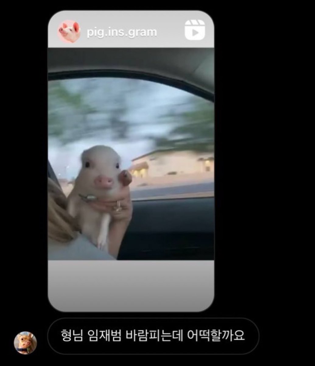 아구 (@aguubird2) on Twitter photo 