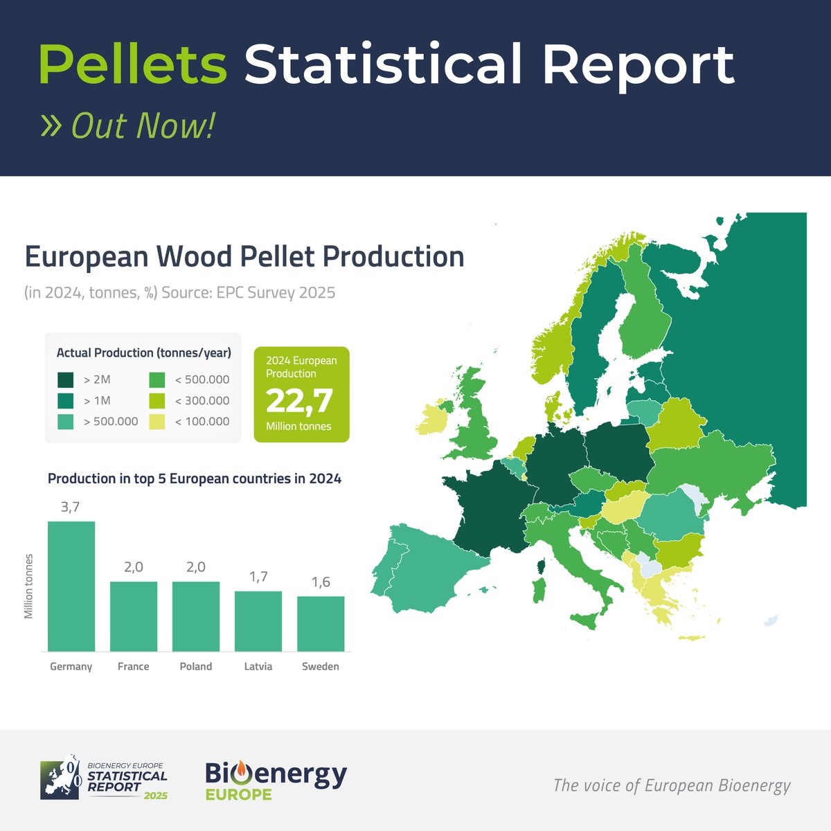 📉 European pellet production slowed down in 2024 — yet the sector’s story is far from over.
Europe turned out 22,7 million tonnes of wood pellets in 2024, an ~8 % year-over-year decrease.
👉 Dive deeper with Bioenergy Europe’s Pellet Report 2025 here: bioenergyeurope.org/statistical-re…