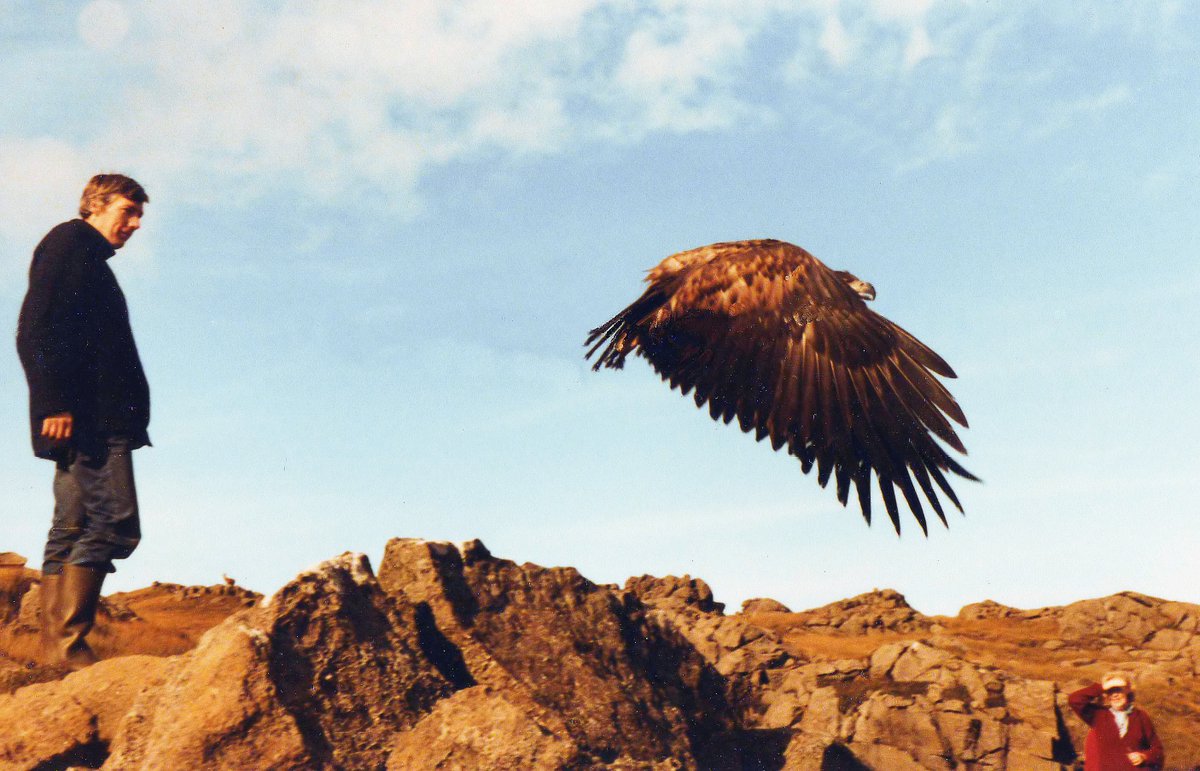 NatureScot's tweet image. In today’s blog we mark 50 years since sea eagles first returned to Scotland, looking back at the reintroduction project & its success as well as some of the challenges that have ensued & how we’re working with farmers & crofters to mitigate any issues: orlo.uk/9USOm