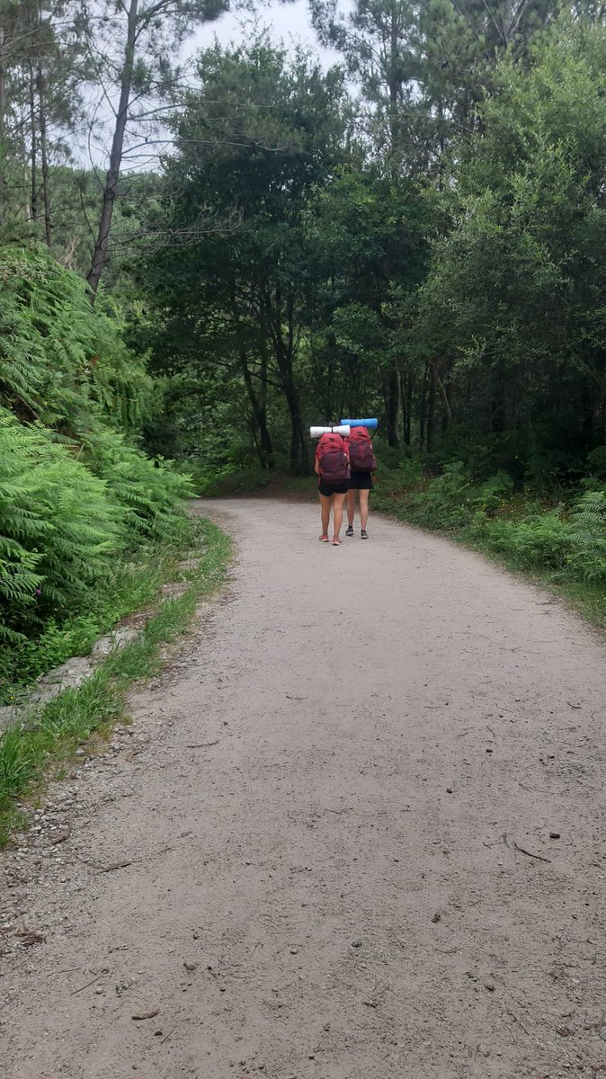 Colegio Ntra. Sra. del Recuerdo tweet media