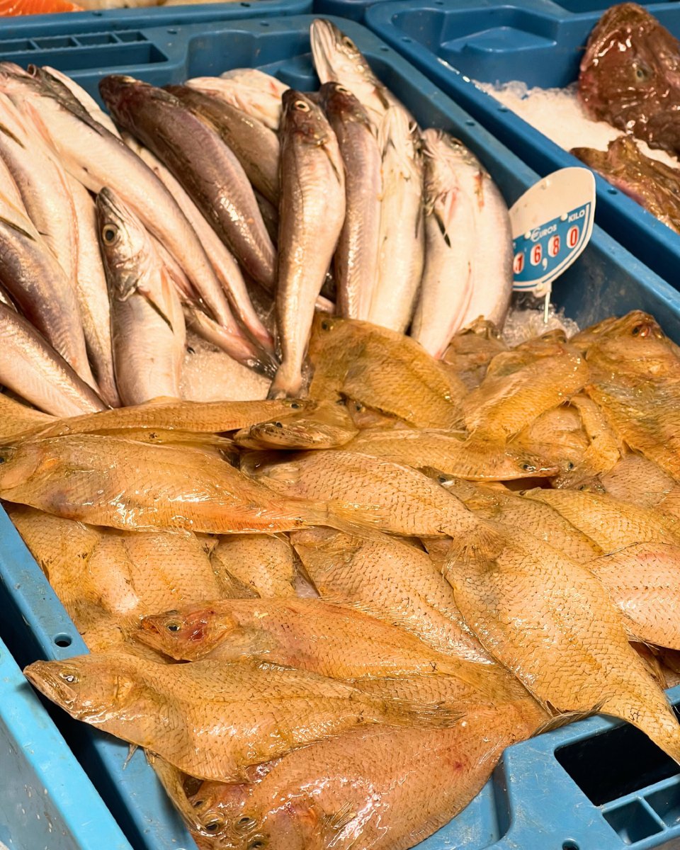 🐟 Per què comprar peix i marisc al Mercat de Vinaròs?

➡️ El peix i marisc arriba directament de la llotja. Ho notaràs a la vista… i al plat!
➡️ Cada setmana t’hi esperen espècies diferents, adaptades al moment i al millor preu.