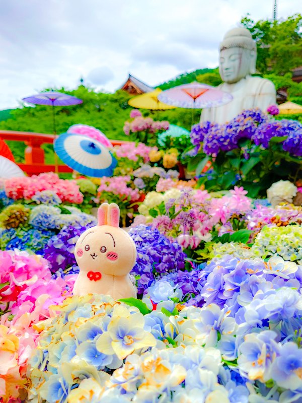 うぉず❤︎ tweet media