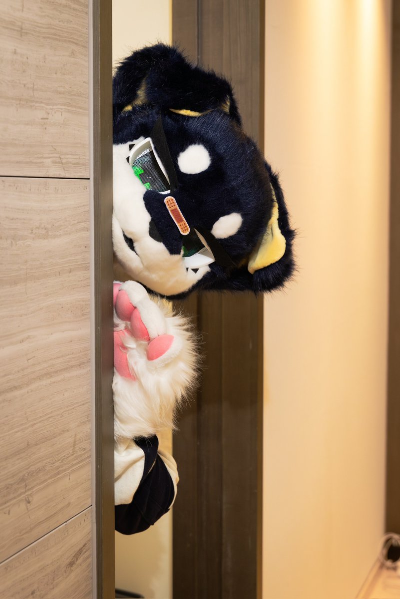 #FursuitFriday