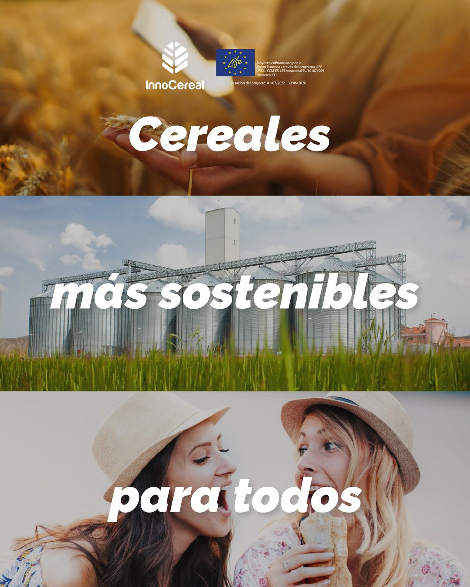 Life_Innocereal's tweet image. ¿Un cereal que reduce su huella de carbono? 🌍
Gracias a #LIFEInnocerealEU, el pan, la pasta y la cerveza pueden ser más sostenibles
Conoce el proyecto 👉 uco.es/investigacion/…
@LIFEprogramme @Agrifoodcom @tec_cerealistas @ETSIAMCordoba @IfapaJunta @AEACSV @greenfield_agri