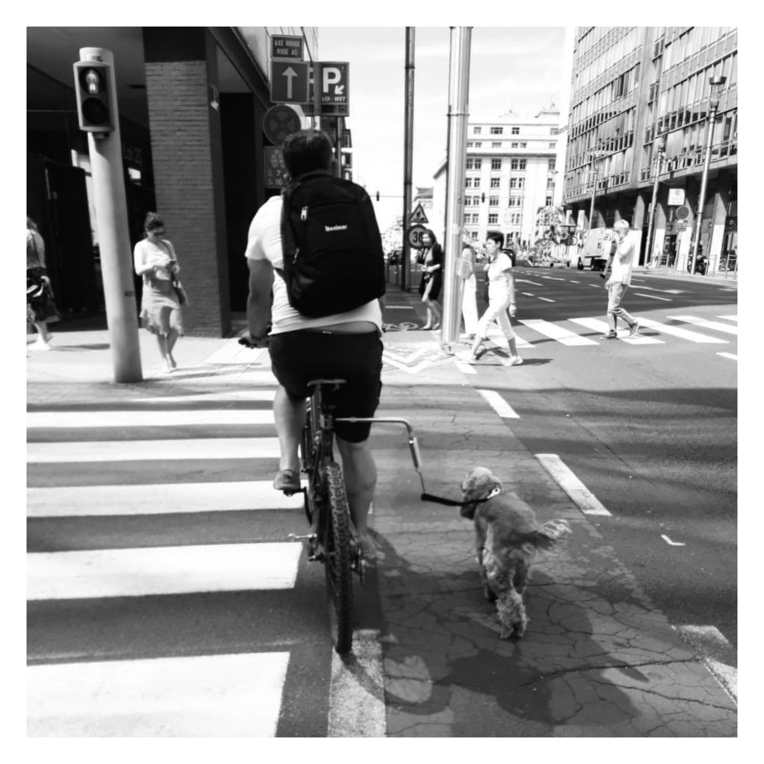 93DWTW's tweet photo. ˢᵗʳᵉᵉᵗ ˢᵉˢˢⁱᵒⁿ. ᴮˣᴸ ᴮʳᵘˢˢᵉˡˢ.
#moodscape #brusselslife #belgium #streetphotography #blackandwhitephotography #monochrome https://t.co/fuCSU9vtL8