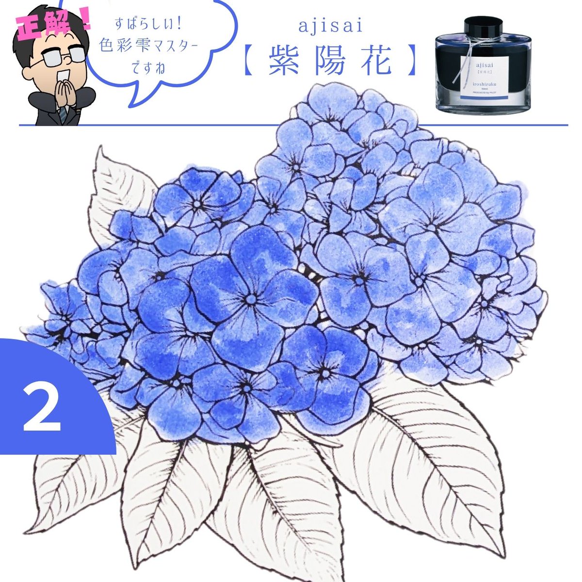 PilotPenJP's tweet image. こんにちは、PILOTの滑書です👓
万年筆インキ『色彩雫』の色当てクイズを作ってみました!
梅雨シーズンにピッタリな「紫陽花(アジサイ)」の色を4つの中から当ててみてください👀
画像をタップすると色名が表示されます!
正解だと思う画像をタップ👉