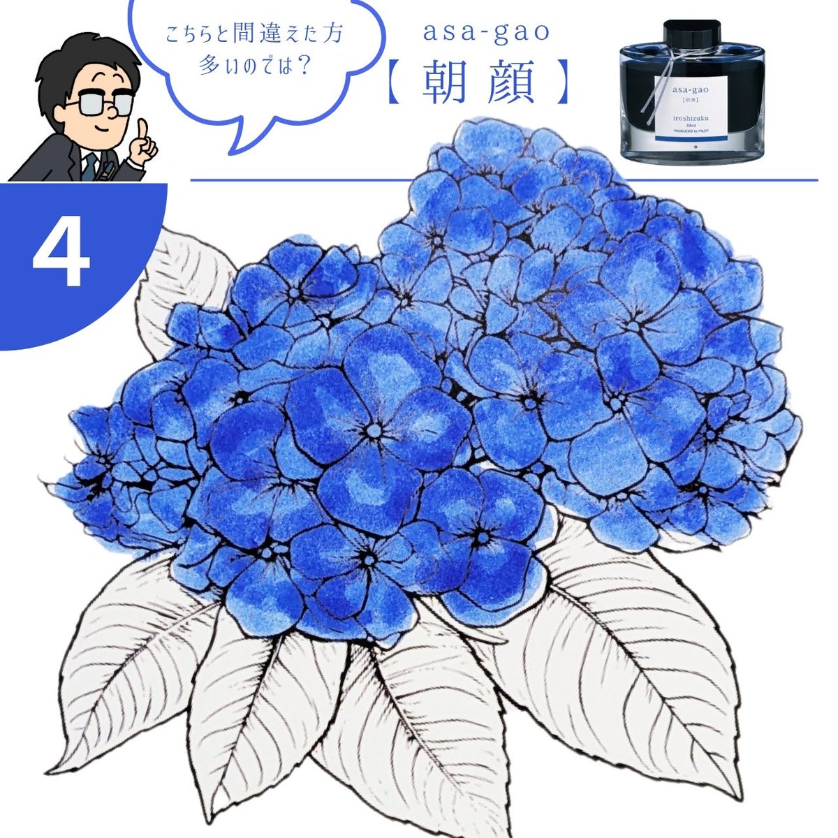 PilotPenJP's tweet image. こんにちは、PILOTの滑書です👓
万年筆インキ『色彩雫』の色当てクイズを作ってみました!
梅雨シーズンにピッタリな「紫陽花(アジサイ)」の色を4つの中から当ててみてください👀
画像をタップすると色名が表示されます!
正解だと思う画像をタップ👉