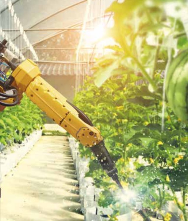 TARIMSAL İNOVASYON VE GİRİŞİMCİLİK - 2
Tarım 5.0 hassas tarım uygulamalarının üzerine yapılandırılması tasarlanan ve
insansız hava araçları, robotlarınve yapay zeka uygulamalarının yoğun kullanılacağı bir tarım sistemi vadetmektedir.

Dolayısıyla girişimci, inovasyona dönük