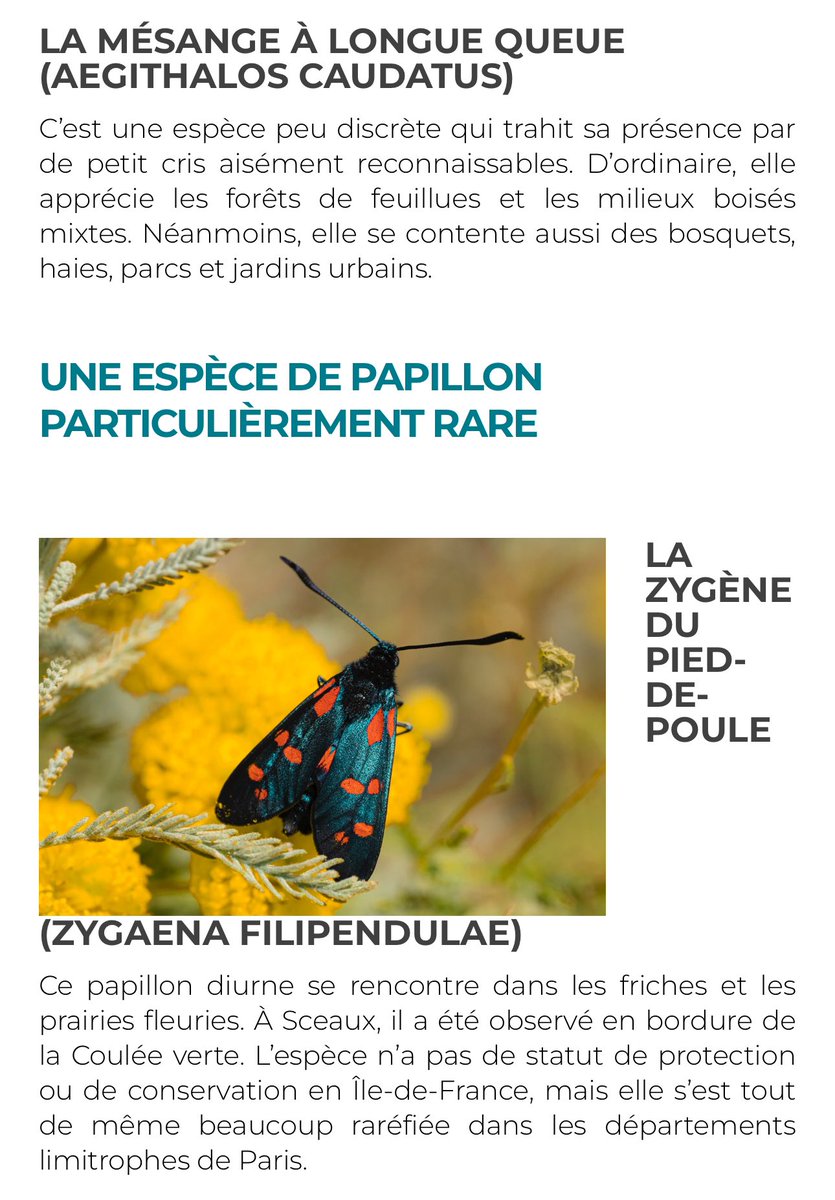 Florence Presson 🐞🌳🐝♻️🌍 (@scx_flo) on Twitter photo L’inventaire de la biodiversité de la <a href="/Ville_de_Sceaux/">Ville de Sceaux</a> avec le soutien de la <a href="/GrandParisMGP/">Métropole du Grand Paris</a> a permis de découvrir, entre autre, 2 espèces d’oiseaux remarquables et un papillon rare et mettre en œuvre un plan d’actions adaptées
sceaux.fr/sites/default/…
<a href="/ARB_BFC/">Agence Régionale de la Biodiversité BFC</a> <a href="/OFBiodiversite/">Office français de la biodiversité</a> L’inventaire de la biodiversité de la <a href="/Ville_de_Sceaux/">Ville de Sceaux</a> avec le soutien de la <a href="/GrandParisMGP/">Métropole du Grand Paris</a> a permis de découvrir, entre autre, 2 espèces d’oiseaux remarquables et un papillon rare et mettre en œuvre un plan d’actions adaptées
sceaux.fr/sites/default/…
<a href="/ARB_BFC/">Agence Régionale de la Biodiversité BFC</a> <a href="/OFBiodiversite/">Office français de la biodiversité</a>