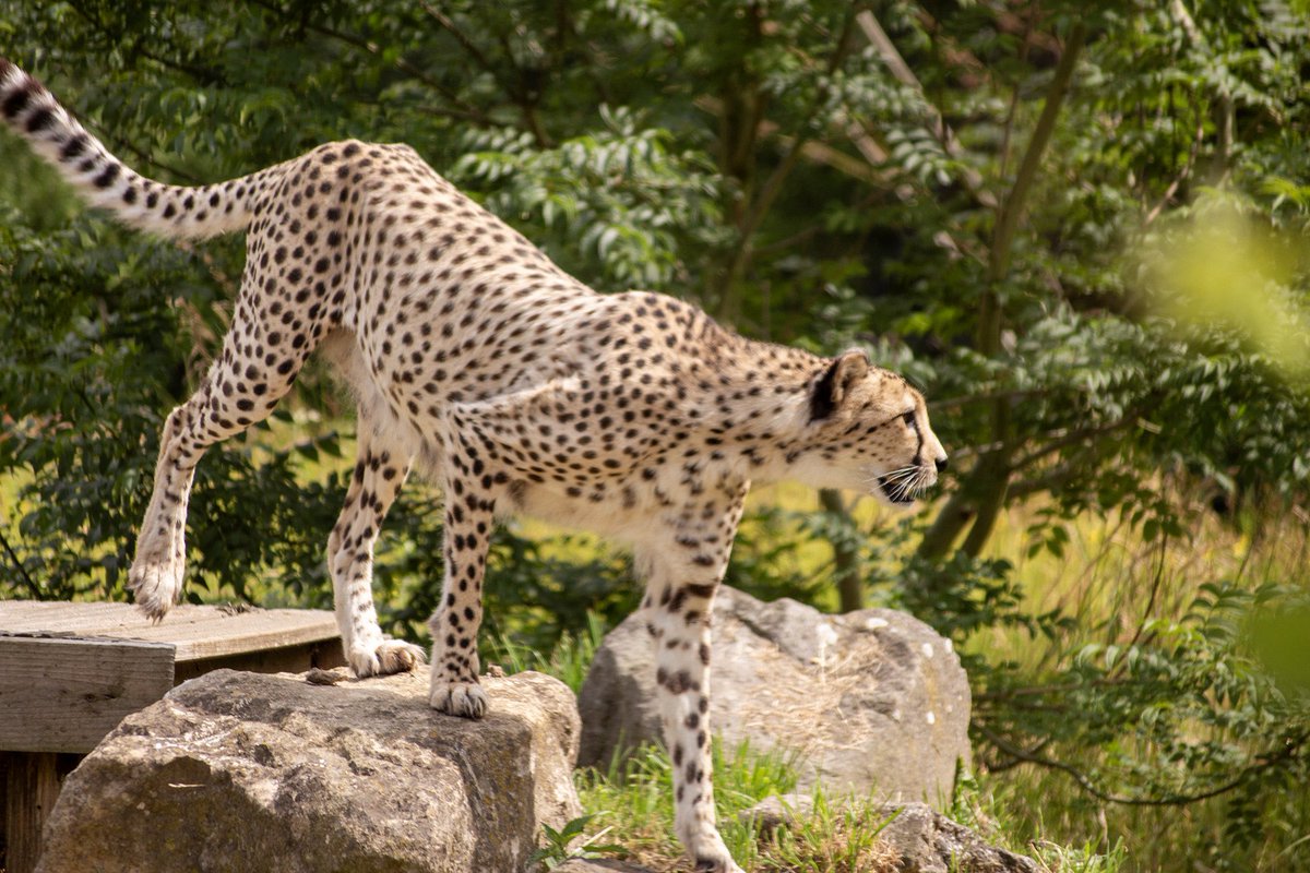 Kieron Moore tweet media