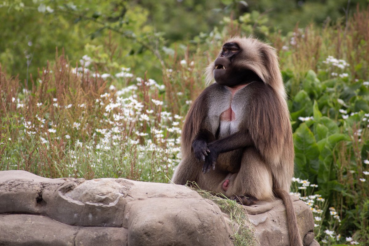 Kieron Moore tweet media