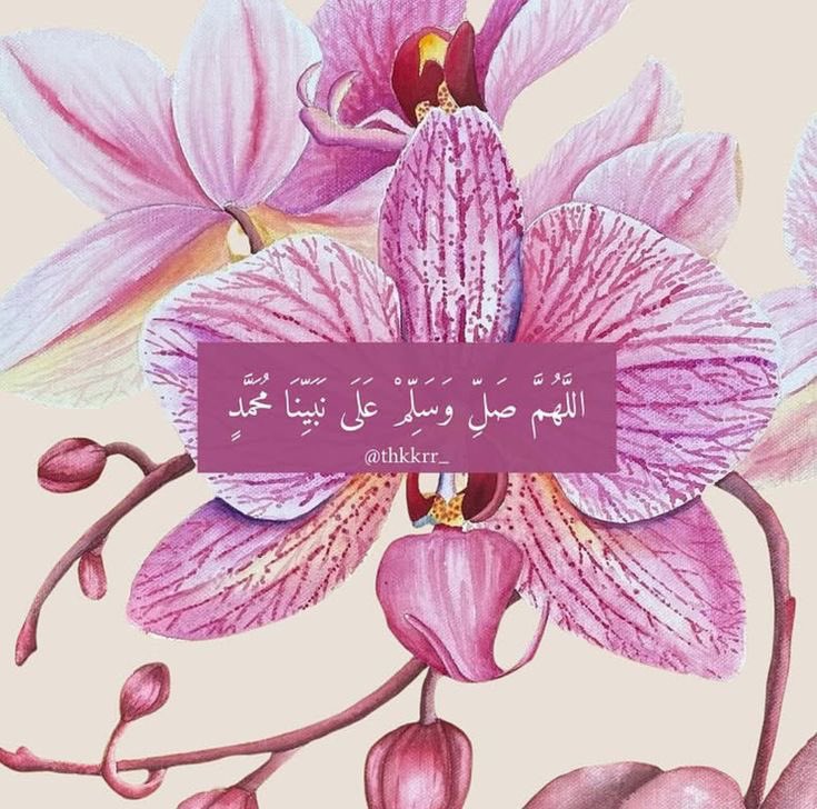 Renad Alamri ريناد العَمري (@mahdiiiah) on Twitter photo 