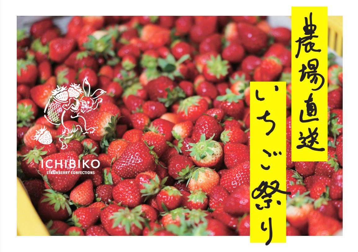 いちご ナカ貿易株式会社 / Naka Trading Co., Ltd. / 果物柄 13100-20