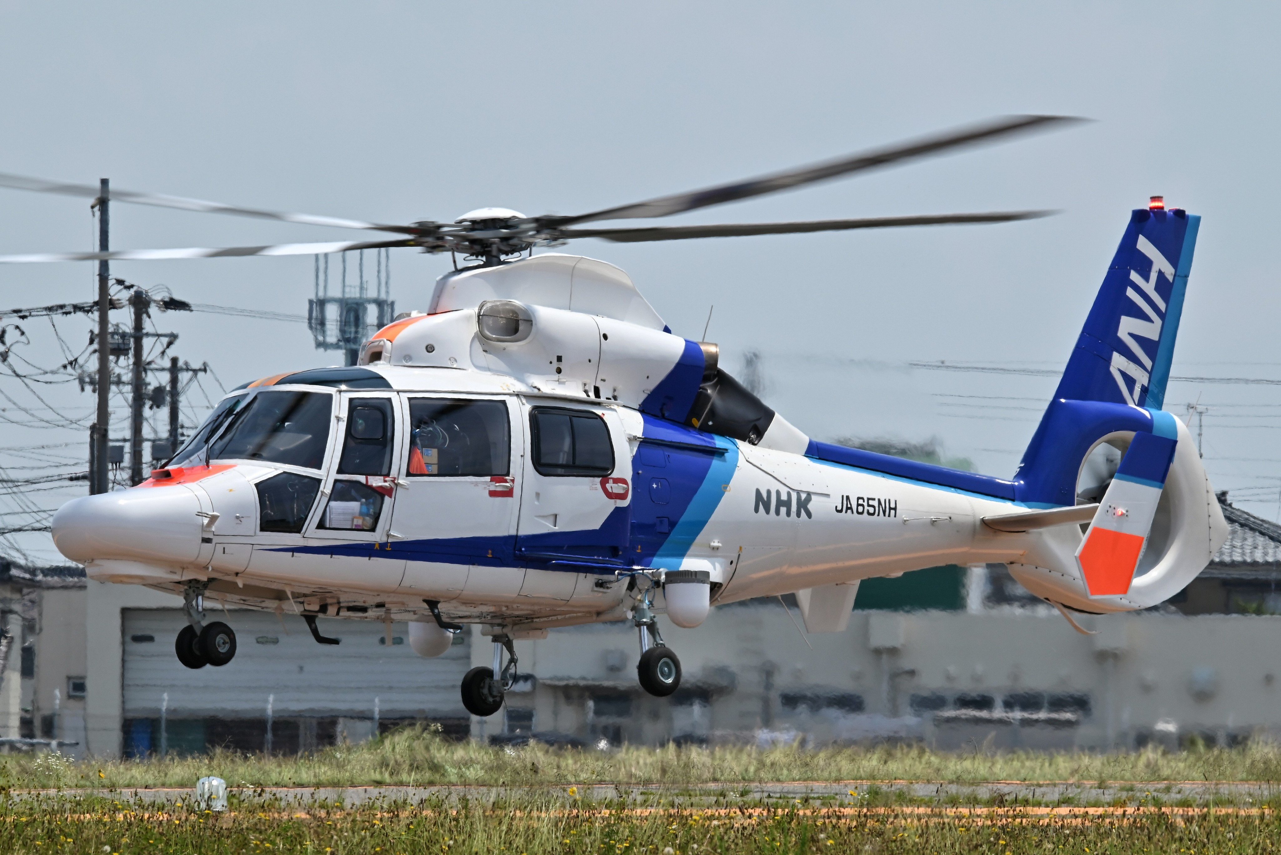 オールニッポンヘリコプター　AS365N　ユーロコプター オールニッポンヘリコプター Airbus Helicopters AS365/565