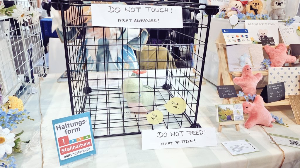 xXVanth13Xx's tweet image. Liebe @chi_plush , nochmal ganz lieben Dank für deine wundervolle Kunst.
Ich hab dem Kleinen noch keinen Namen gegeben aber es hat sich gut eingelebt und hat natürlich viele Freunde gefunden =^-^=
Hier ein Foto mit der Kürbiskatze 🥰