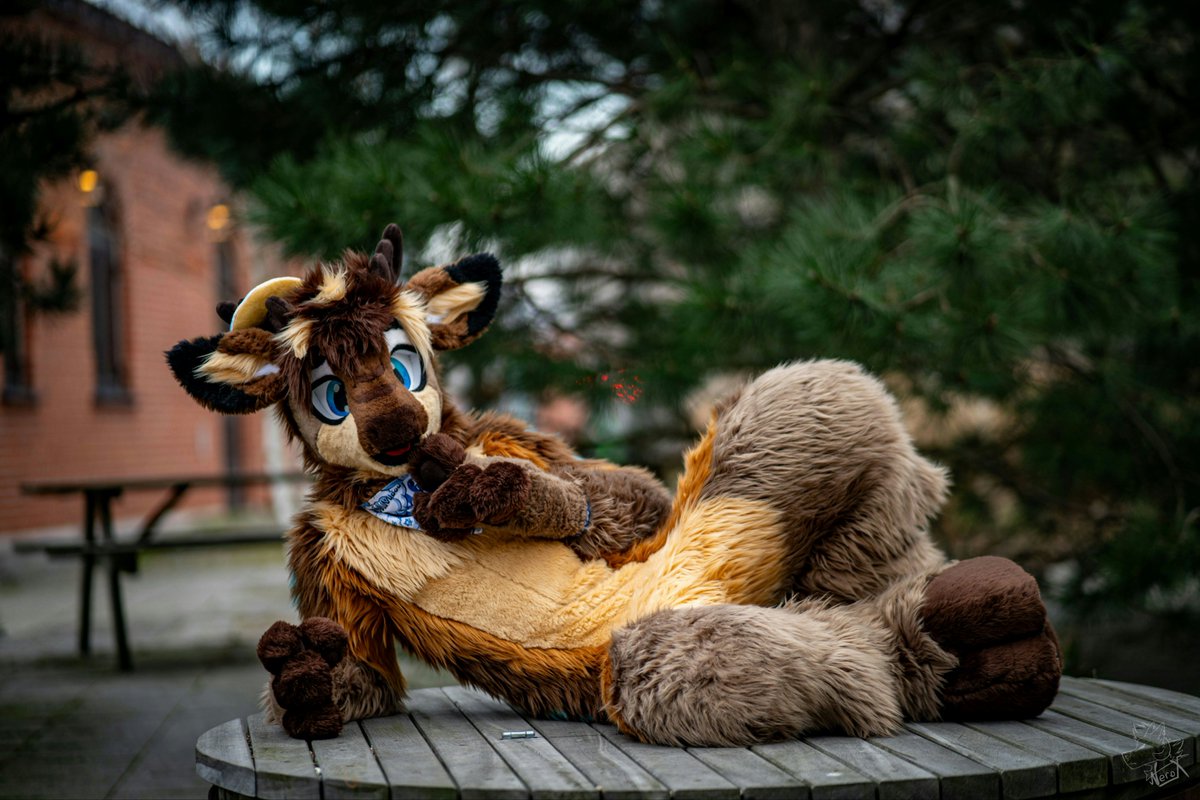 Zhentar | Miko tweet media