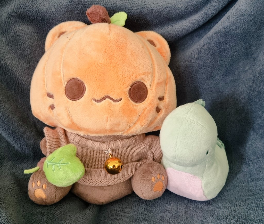 xXVanth13Xx's tweet image. Liebe @chi_plush , nochmal ganz lieben Dank für deine wundervolle Kunst.
Ich hab dem Kleinen noch keinen Namen gegeben aber es hat sich gut eingelebt und hat natürlich viele Freunde gefunden =^-^=
Hier ein Foto mit der Kürbiskatze 🥰