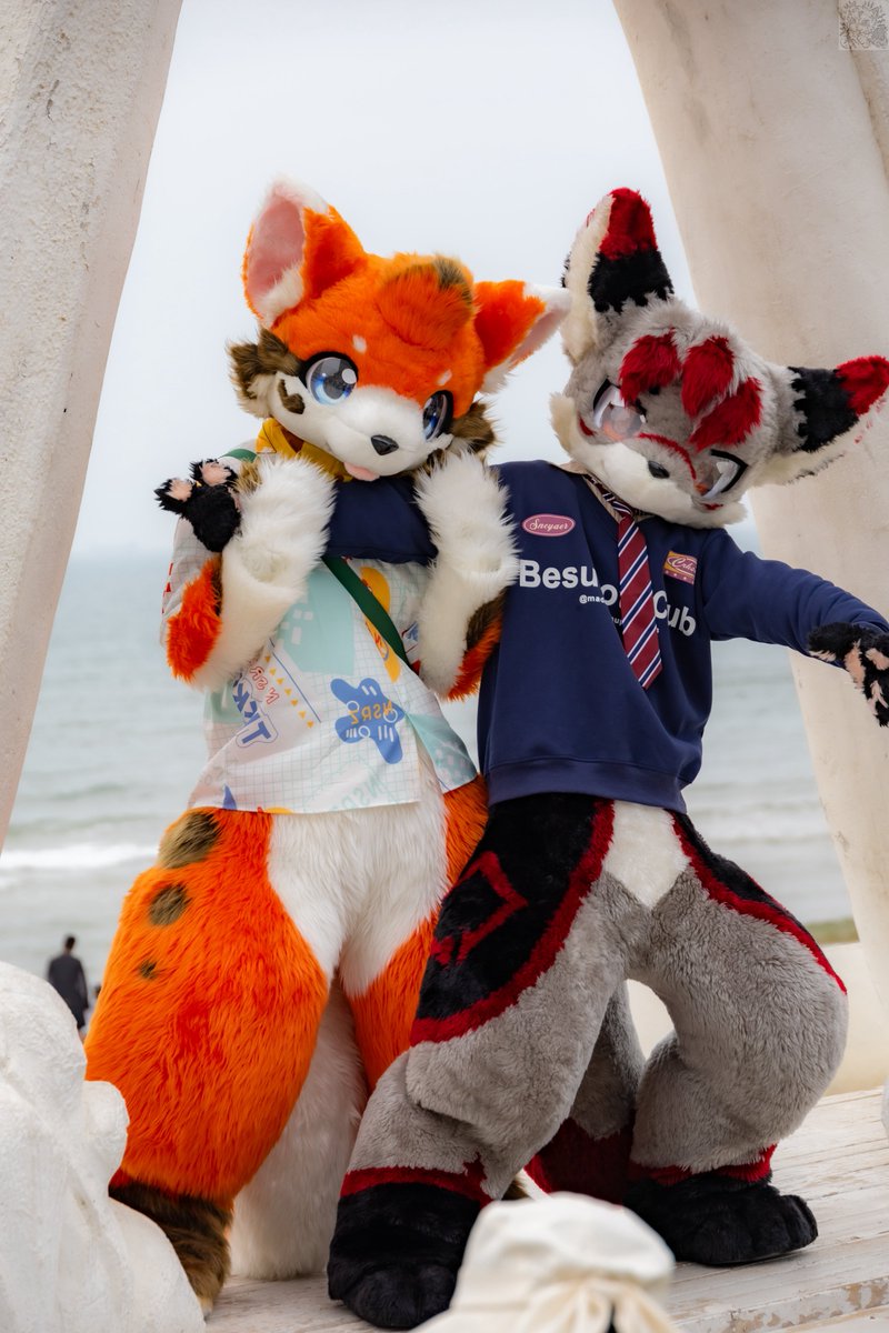 #FursuitFriday
一只安静的狗子🍊和一只活泼的狗子🍅

📸 <a href="/sama00340579/">从寒sama</a> 感谢~