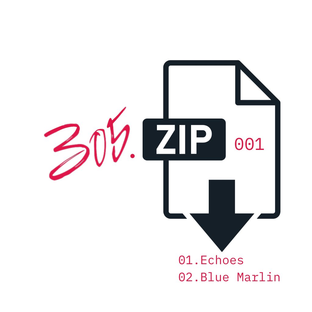 European305 tweet media