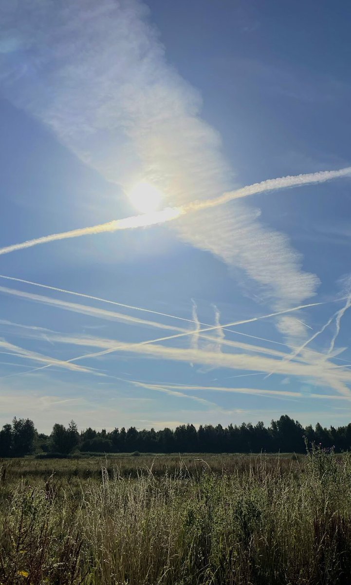 Most people still can't see this.!

#LookUp #SunBlocking