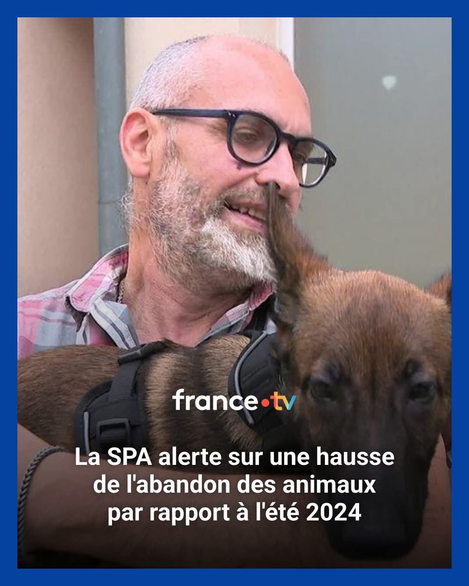 La SPA alerte sur une hausse de l'abandon des animaux par rapport à l'été 2024
👉 ebx.sh/HDWjXZ