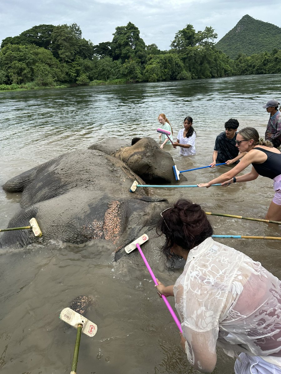 The Oldham Academy North - Personal Development tweet media