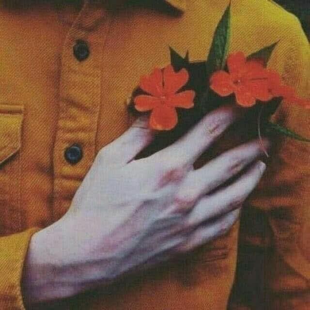 Haritalara baktım, hiçbirinde evin yok.
Ansiklopedilere baktım, hiçbirinde resmin yok.
Sözlüklere baktım, hiçbirinde ismin yok.
Aynada kendime baktım, seni gördüm.
Benden başka yerin yok…

| Aziz Nesin