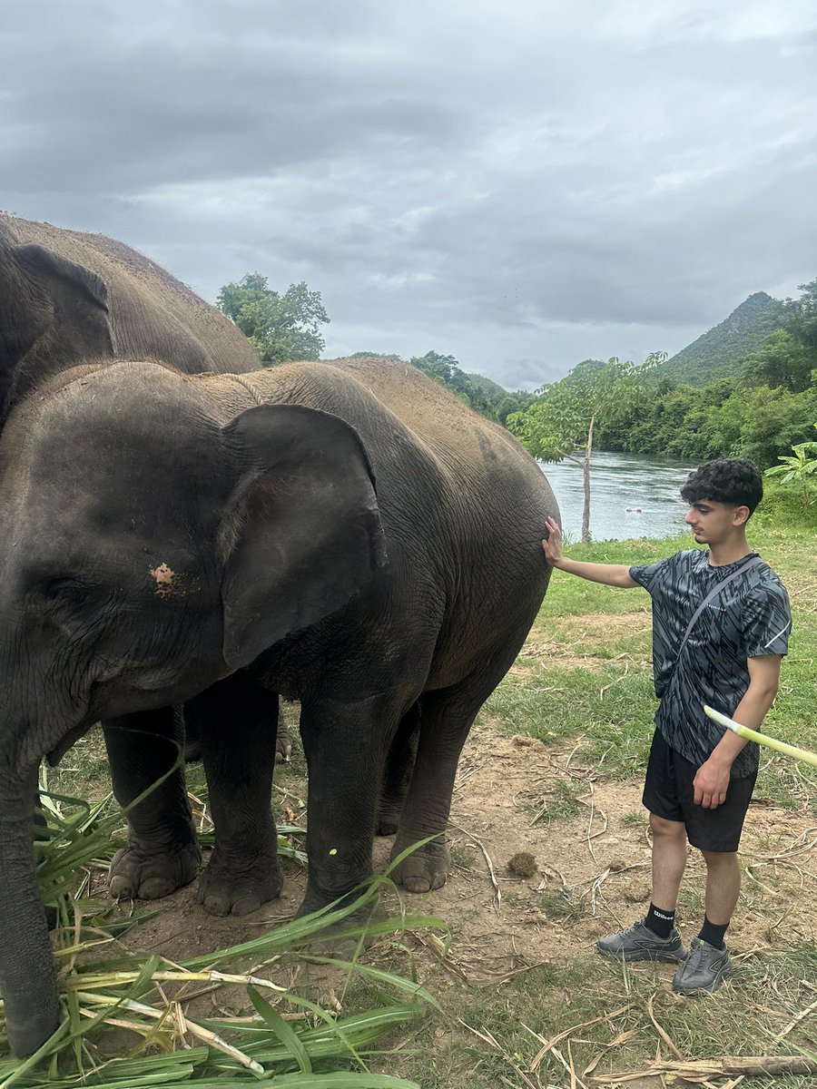 The Oldham Academy North - Personal Development tweet media