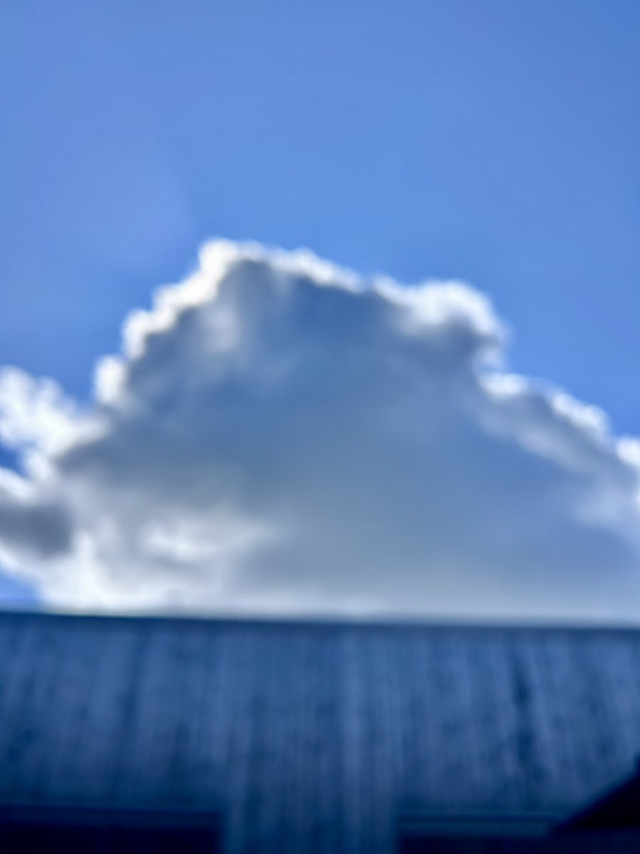 mariadavidsen's tweet image. 981 64 306 Vipps min Poet Pi! 3,14