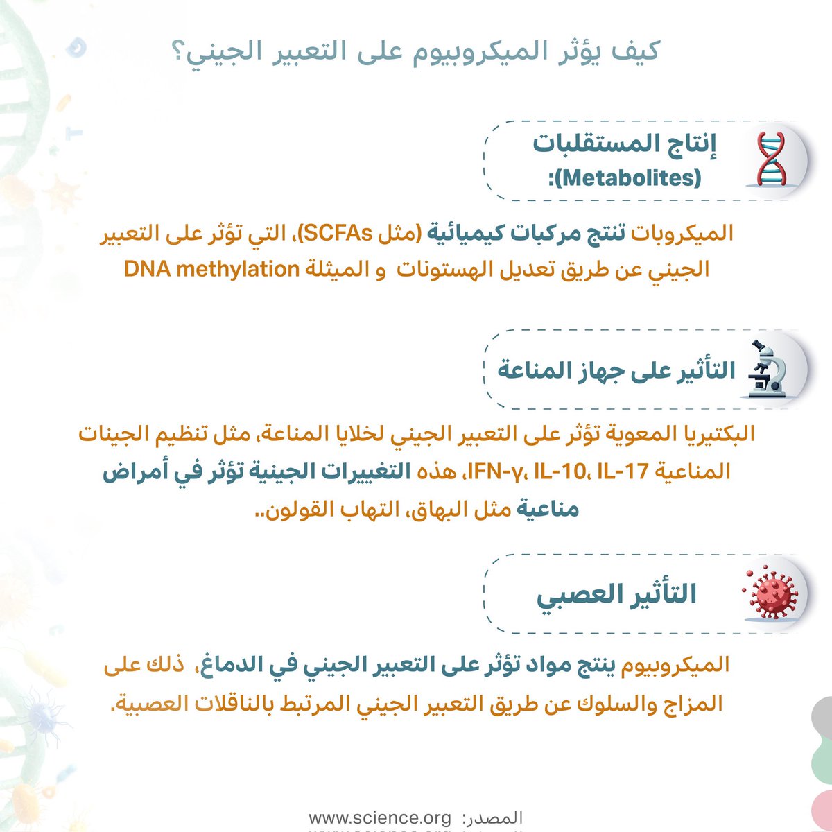 🧬 هل للميكروبيوم علاقة بجيناتك؟
العلاقة قوية جدًا، جيناتك تحدد البيئة الداخلية لجسمك، مثل درجة الحموضة (pH)، وكمية المواد المغذية، والمناعة. هذه البيئة تجذب بعض الميكروبات وتطرد غيرها.
 في المقابل، الميكروبات يمكنها التأثير على الجينات، فتغيّر من طريقة عملها (تفعليها أو تعطيلها)