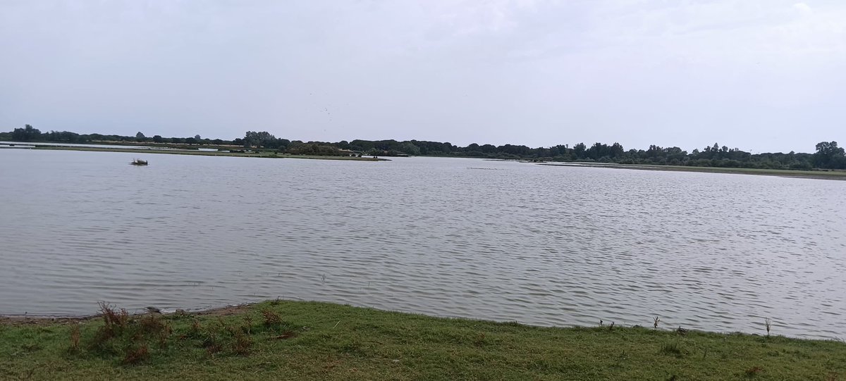 Y por fin las dos últimas jornadas. La visita al Rocío y la Rocina y la visita al palacio del Acebron..y su estupendo entorno natural hace que el aprendizaje sea funcional <a href="/AfaRenacimiento/">AFA Renacimiento</a>