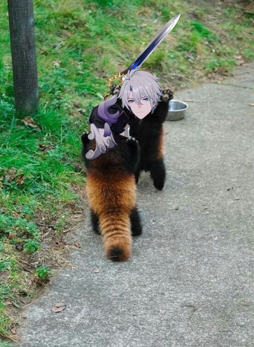 #崩壊スターレイル