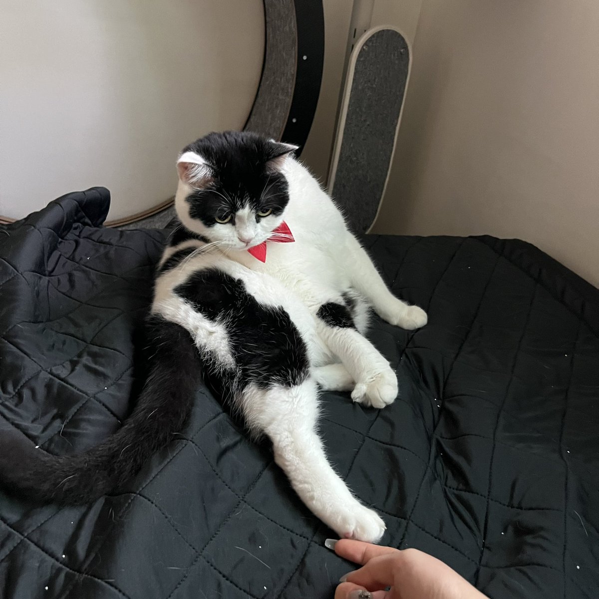 이불을자세히보지마