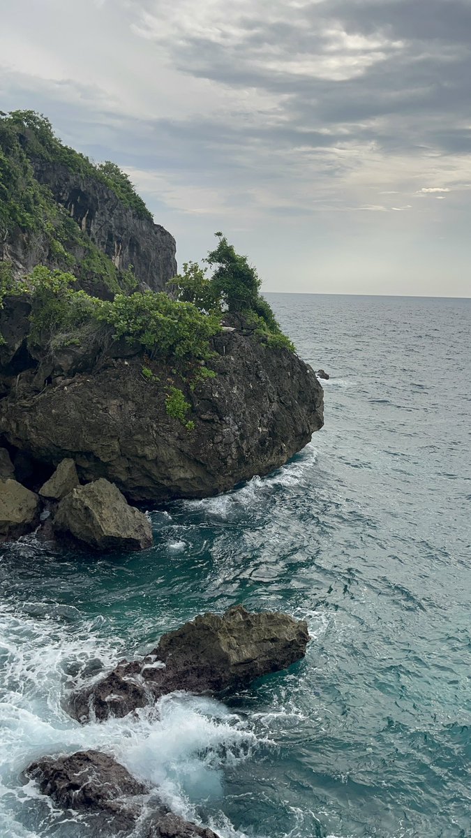 I Made Andi Arsana (IG:@madeandi) tweet media